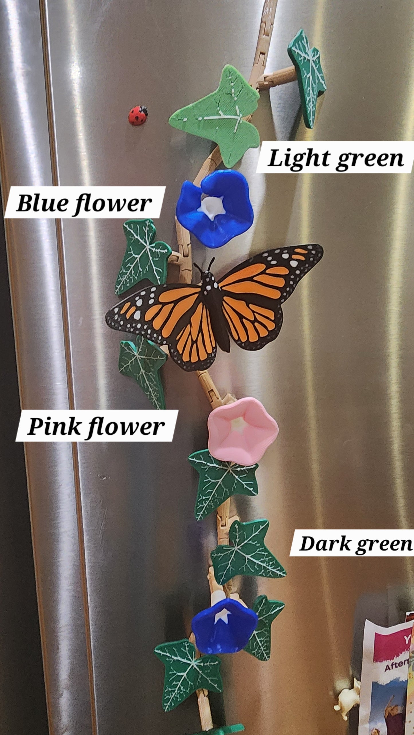 Ivy Fridge Magnet Set