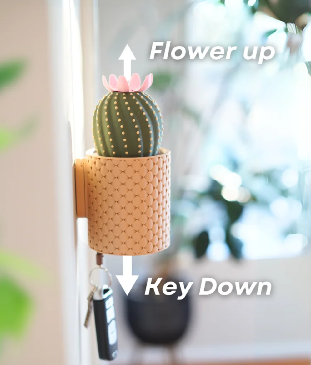 Blooming Cactus Key Holder