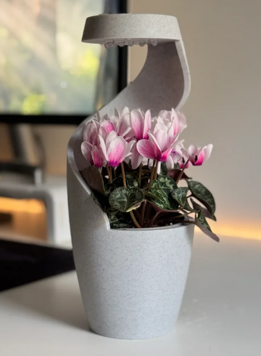 Eve Planter