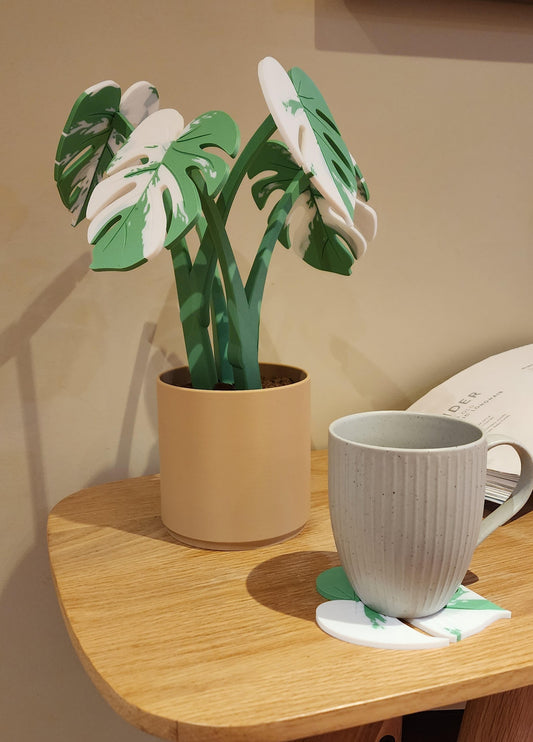 Monstera Coaster Set